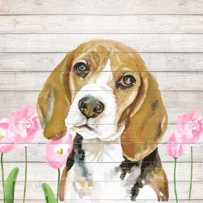Picture of BEAGLE WITH FLOWERS