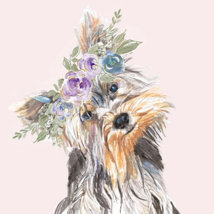 Picture of FLOWER CROWN PET II