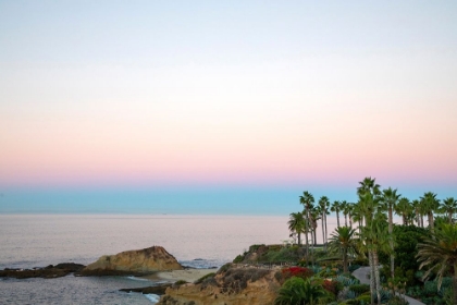 Picture of PALM WALKWAY AT DUSK