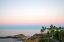 Picture of PALM WALKWAY AT DUSK