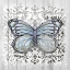 Picture of DECORATIVE BUTTERFLY I