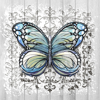 Picture of DECORATIVE BUTTERFLY IV