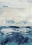 Picture of FREEDOM OF THE BLUE SEA II