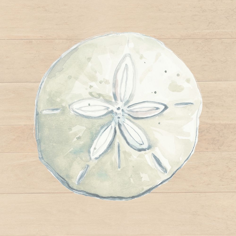 Picture of SAND DOLLAR ON WOOD BACKGROUND