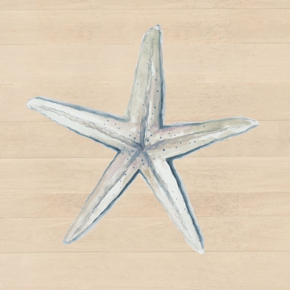 Picture of STARFISH ON WOOD BACKGROUND