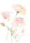 Picture of EARLY SUMMER POPPIES II