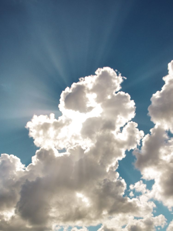 Picture of BURSTING CLOUD