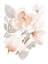 Picture of PEACH TRANQUIL FLORALS II
