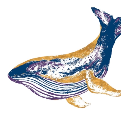 Picture of GOLDEN NAVY WHALE