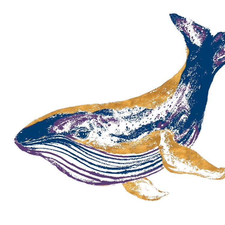 Picture of GOLDEN NAVY WHALE