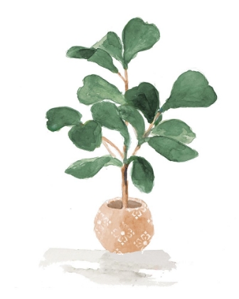 Picture of POTTED FIDDLE FIG TREE I