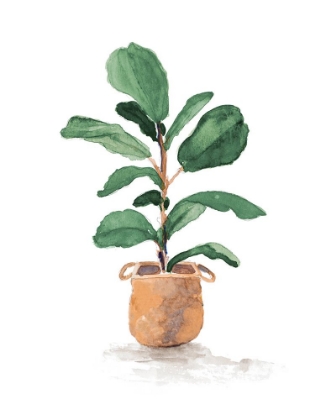 Picture of POTTED FIDDLE FIG TREE II