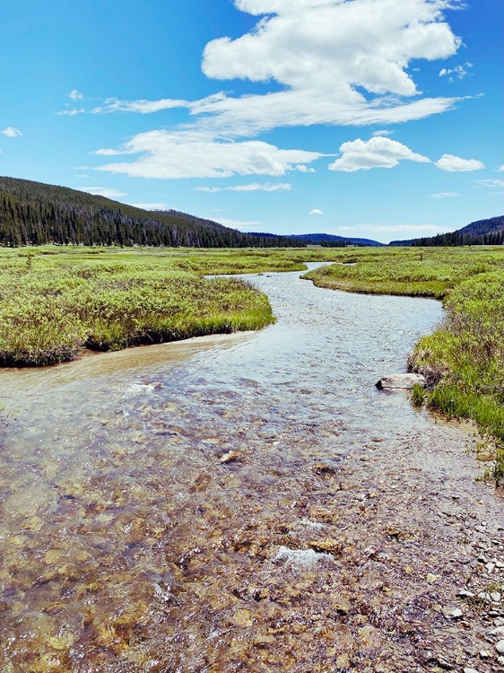 Picture of ROCKY STREAM