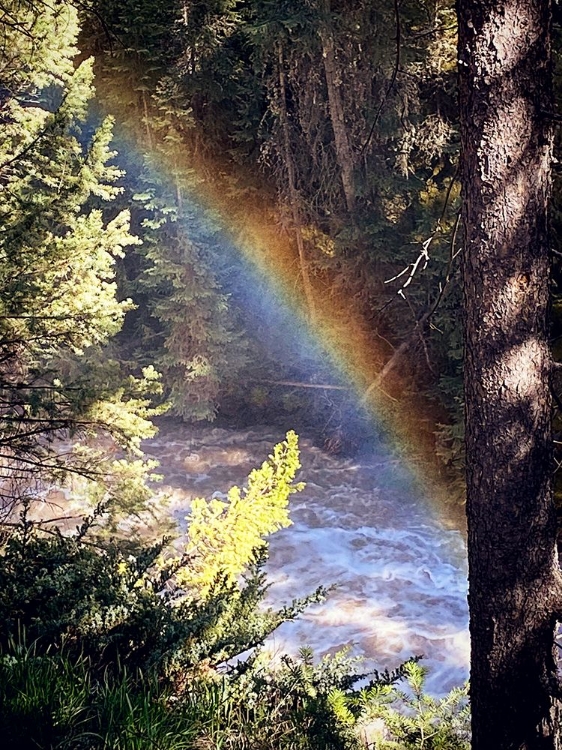 Picture of STREAM AND RAINBOW COLLIDE