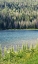 Picture of HIDDEN LAKE