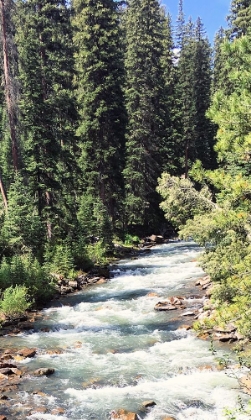 Picture of MOUNTAIN RIVER