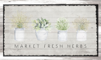 Picture of MARKET FRESH HERBS
