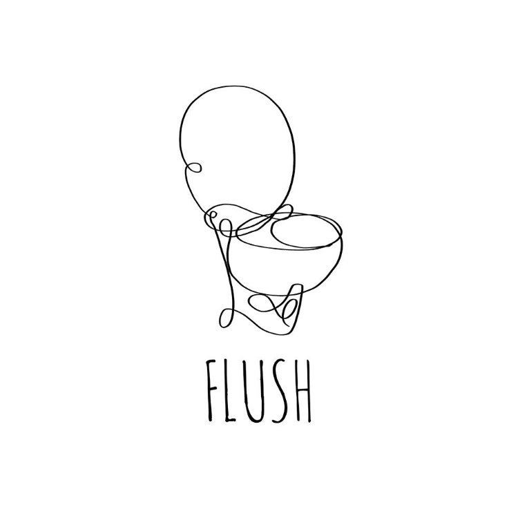 Picture of FLUSH