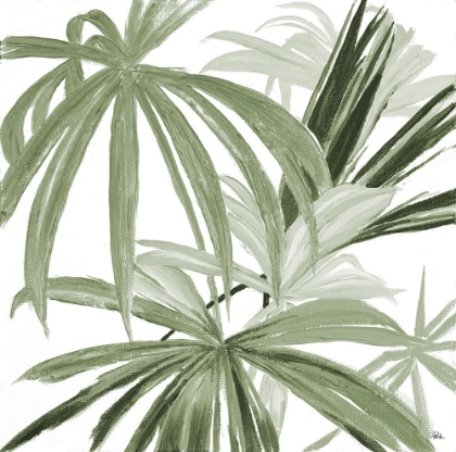 Picture of GREEN MONSTERA DESIGN II