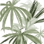 Picture of GREEN MONSTERA DESIGN II