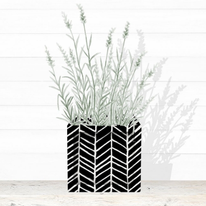 Picture of LAVENDER IN MODERN POT I