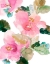 Picture of SCATTERED PINK HIBISCUS