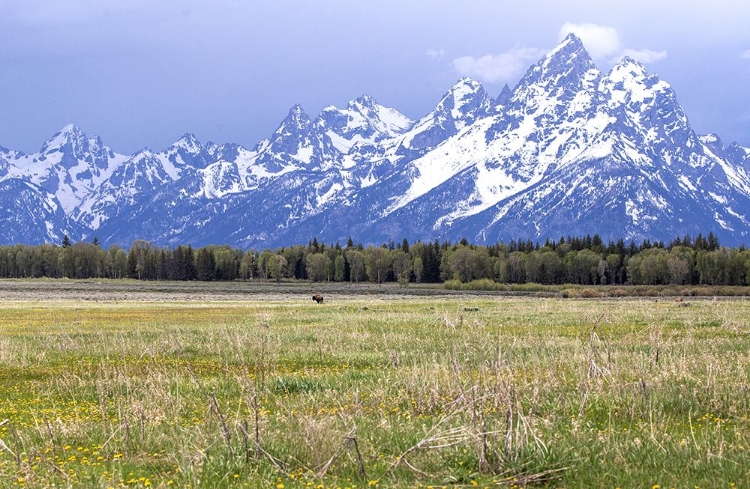 Picture of FOOTHILLS