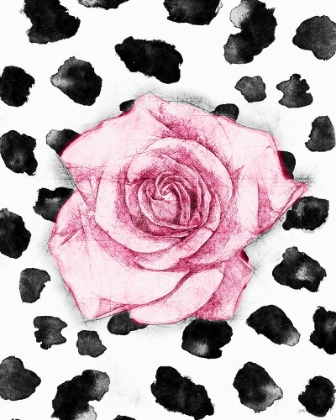 Picture of DALMATION ROSE I