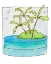 Picture of ISLAND PALMS II