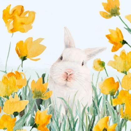 Picture of WHITE BUNNY AMONGST YELLOW FLOWERS