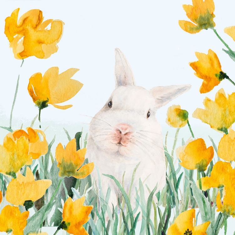 Picture of WHITE BUNNY AMONGST YELLOW FLOWERS