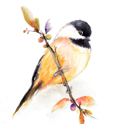 Picture of WATERCOLOR CHICKADEE I