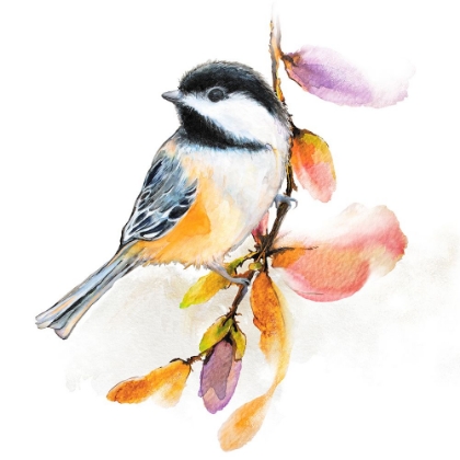 Picture of WATERCOLOR CHICKADEE II