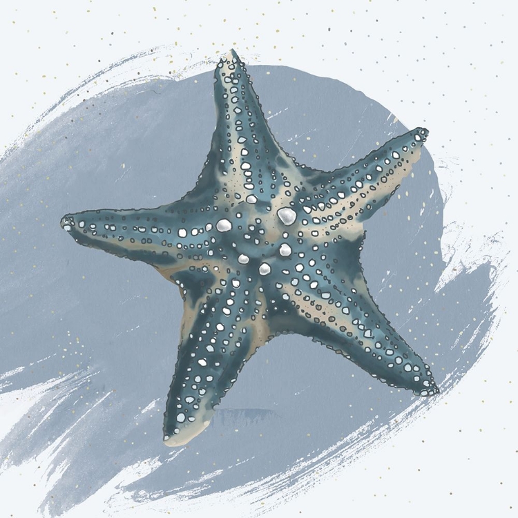 Picture of STARFISH