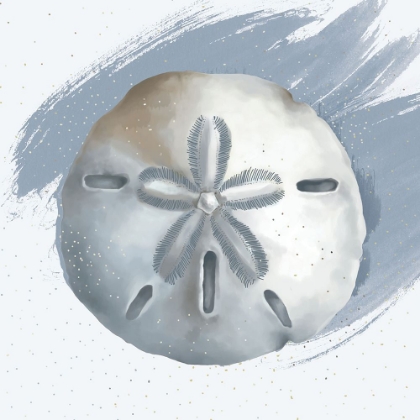 Picture of SAND DOLLAR