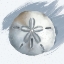 Picture of SAND DOLLAR