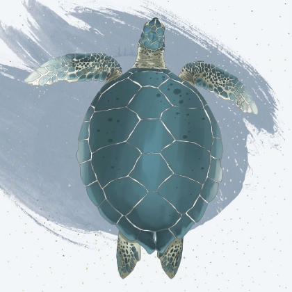 Picture of SEA TURTLE