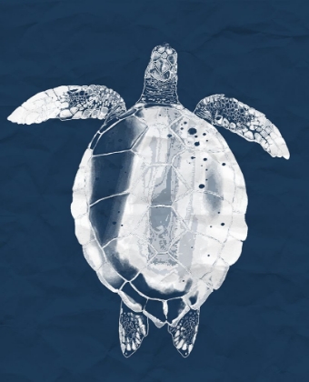 Picture of SEA TURTLE ON NAVY