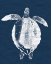 Picture of SEA TURTLE ON NAVY