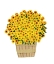 Picture of YELLOW MUMS