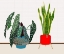 Picture of POTTED PLANT FRIENDS I