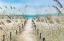 Picture of PATH TO THE SHORE