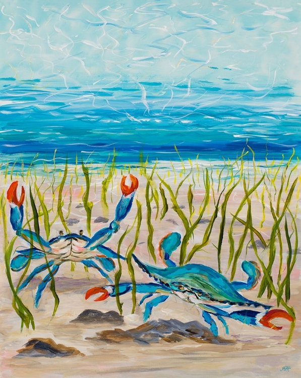 Picture of BLUE CRABS