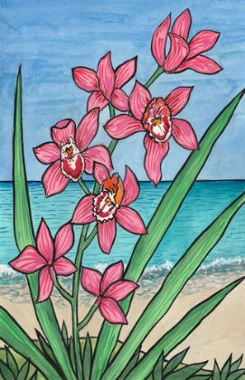 Picture of ORCHID BEACH