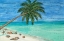 Picture of PARADISE AND PALMS II
