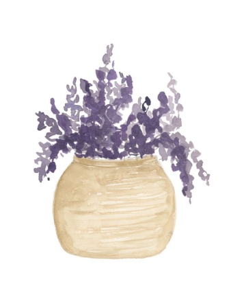 Picture of POT OF LAVENDER