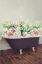 Picture of FLOWERING TUB