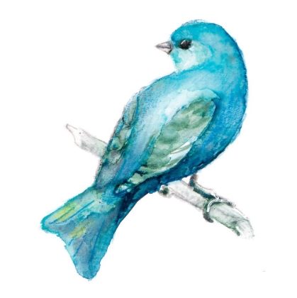 Picture of SPRING BLUE BIRD III