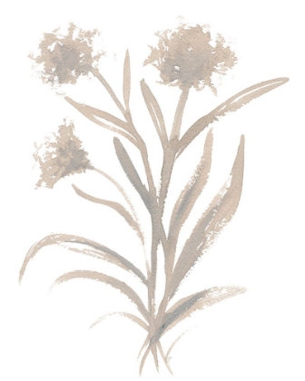 Picture of BEIGE HERB II