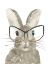 Picture of BUNNY WITH GLASSES